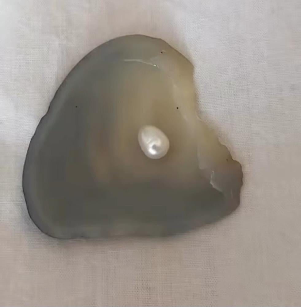 بكج المحار " الاكثر مبيعاً